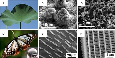 Surface Engineering of Ceramic Nanomaterials for Separation of Oil/Water Mixtures